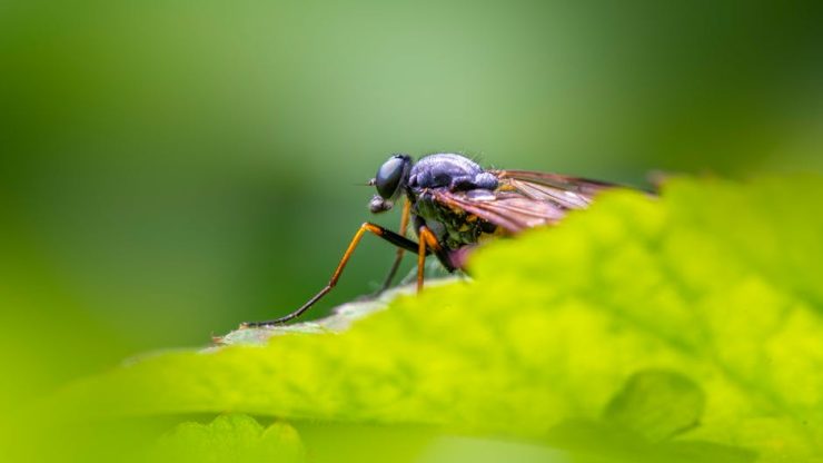 深入探討人臉識別系統的運作與影響