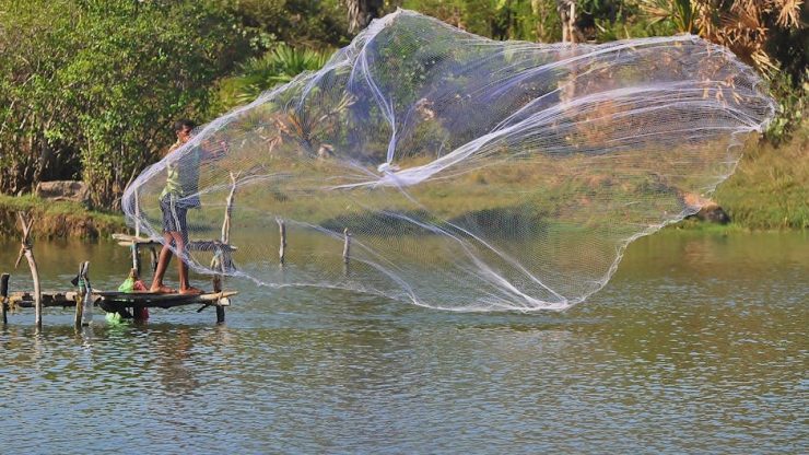 外匯交易平台推薦：成功案例啟發你的投資旅程