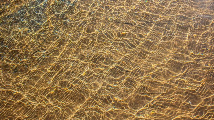 比目魚的奇妙世界：探索與學習的旅程