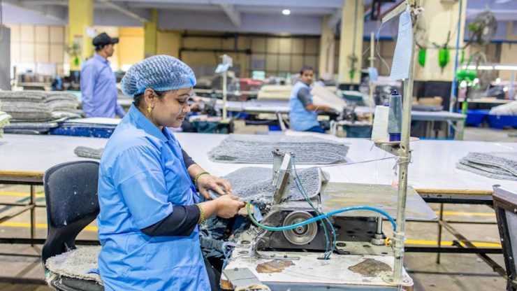 建立成功的食品廠：務實提升與穩健發展之路